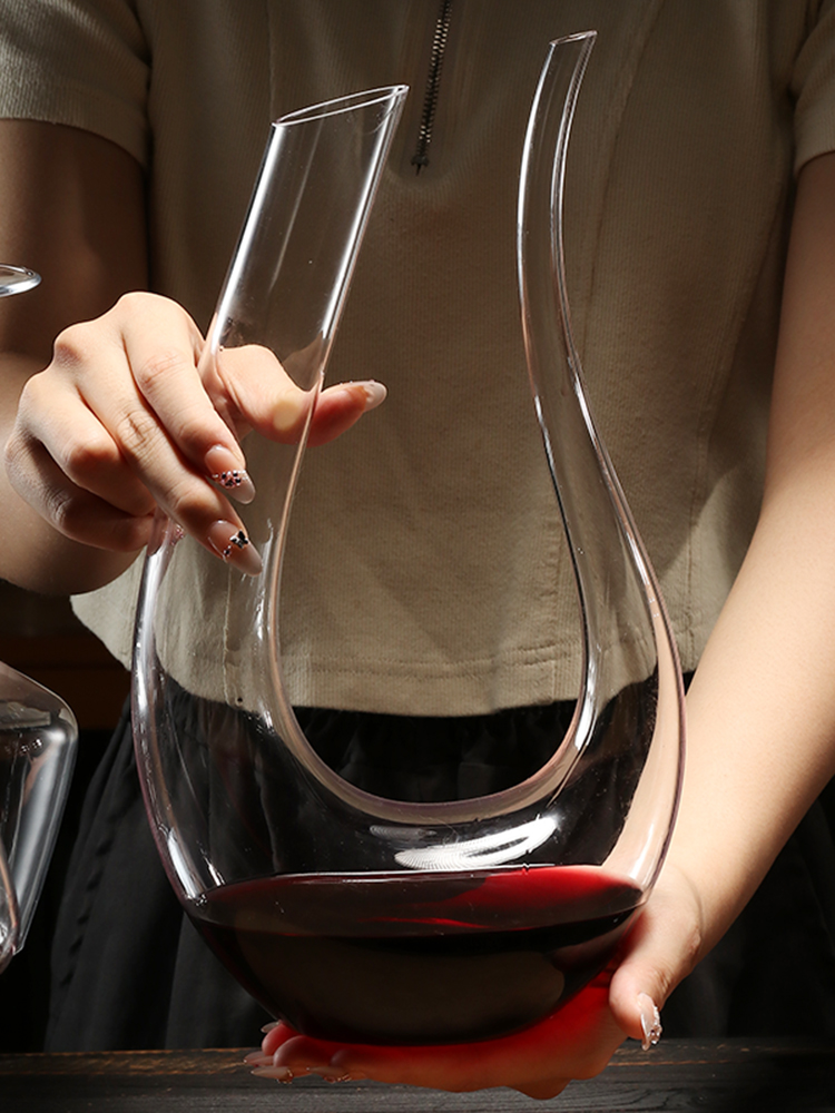 Premium Glass Wine Decanter Re - Wine Aerator Pour review and price