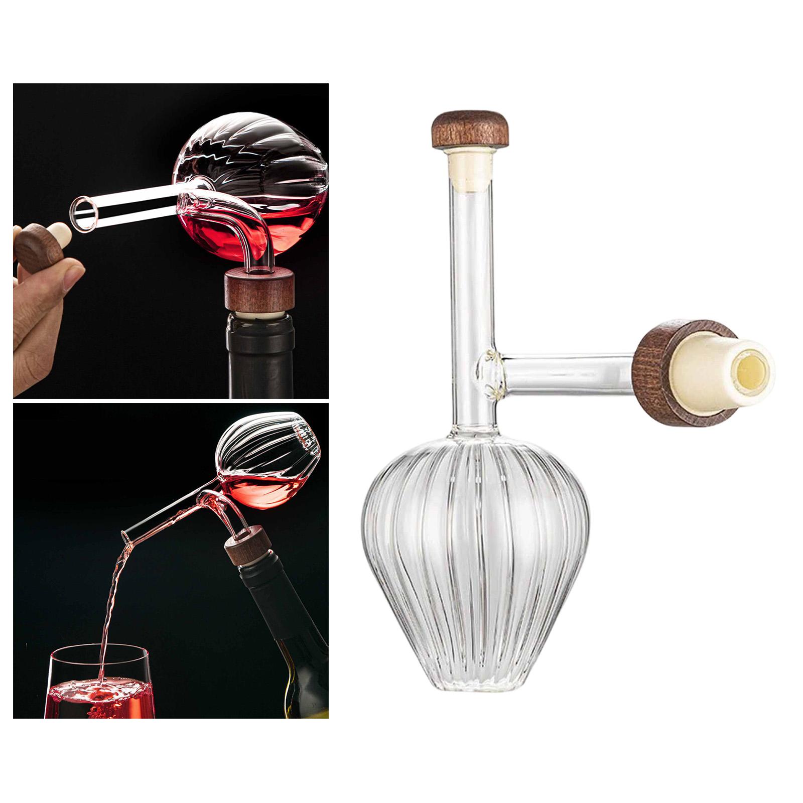 Fast Pouring Portable Decanter - Wine Aerator Pour review and price