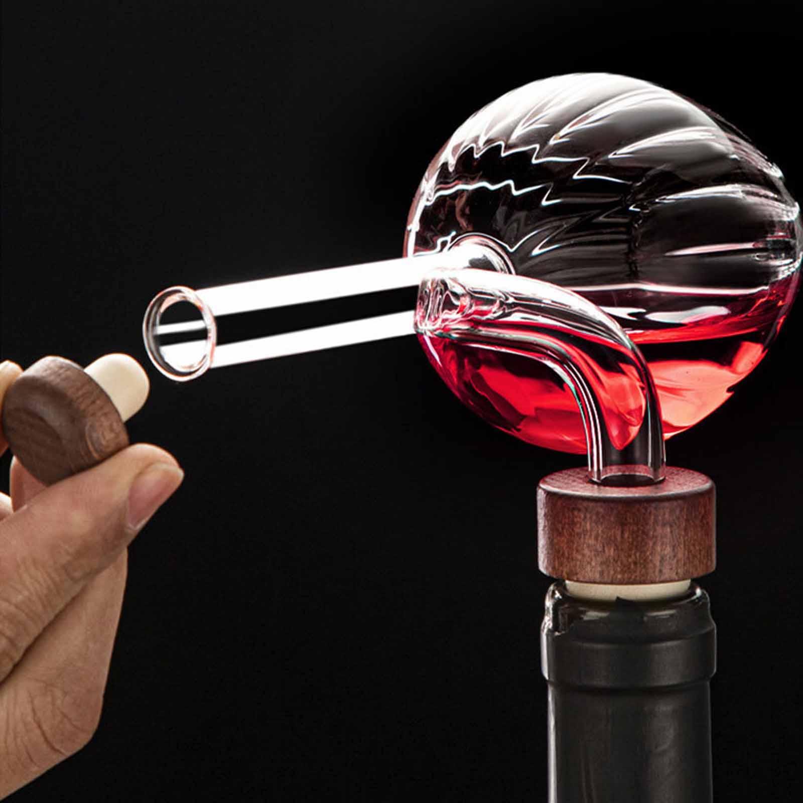 Fast Pouring Portable Decanter - Wine Aerator Pour review and price